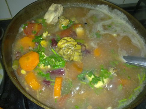 chicken and vegetable stew for Moina
